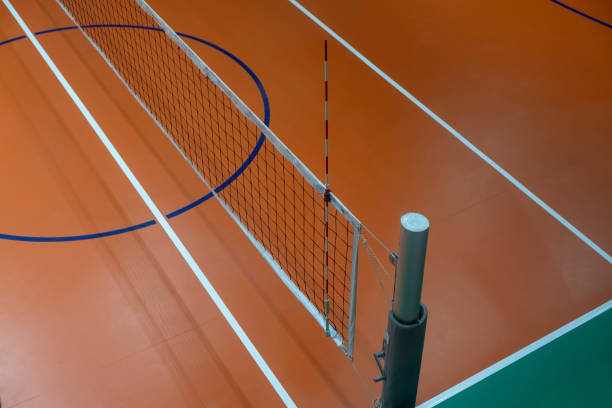 Volleyball Two